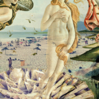 Venere - immagine 2